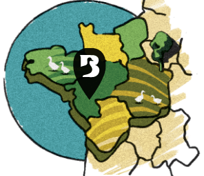 Logo Bizac